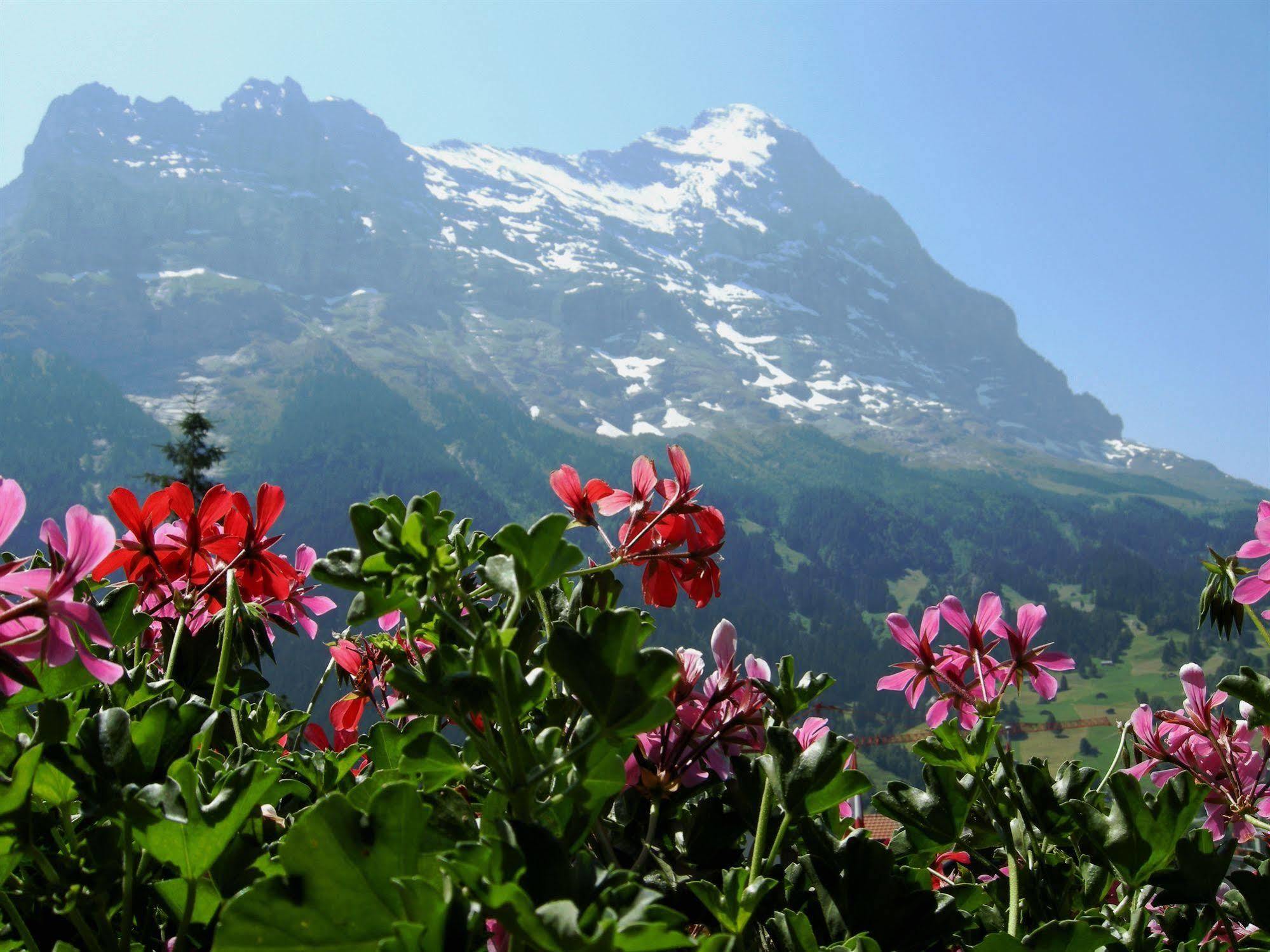 Alpenhof Hotel Grindelwald Exterior photo